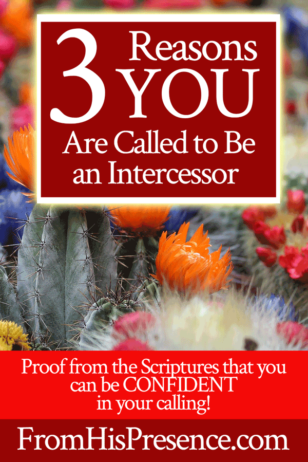 3 Reasons YOU Are Called To Be An Intercessor From His Presence 