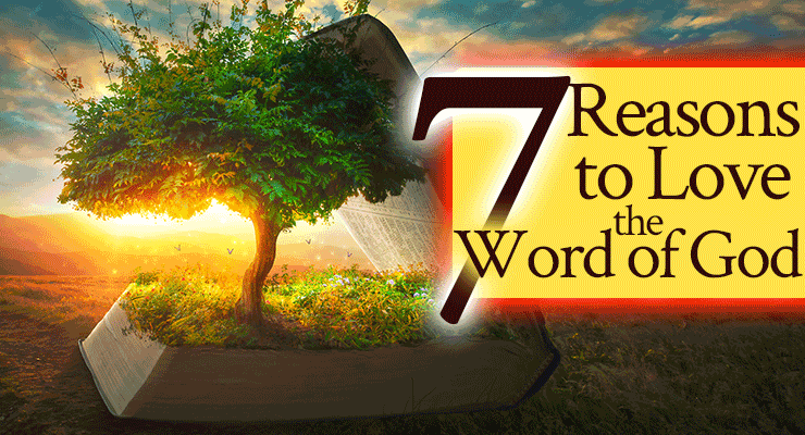 7 Reasons to Love the Word of God - From His Presence®